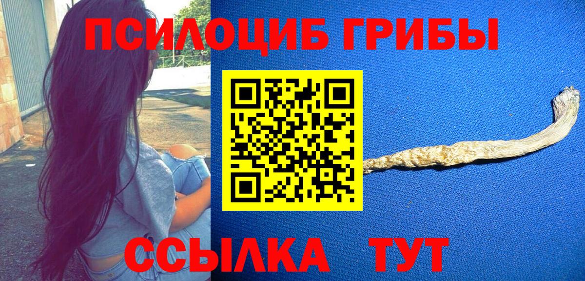 Псилоцибиновые грибы Psilocybe  Псилоцибиновые грибы Magic Shrooms  Вход с VPN  Кандалакша 