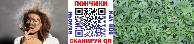 Конопля марихуана  Кандалакша 